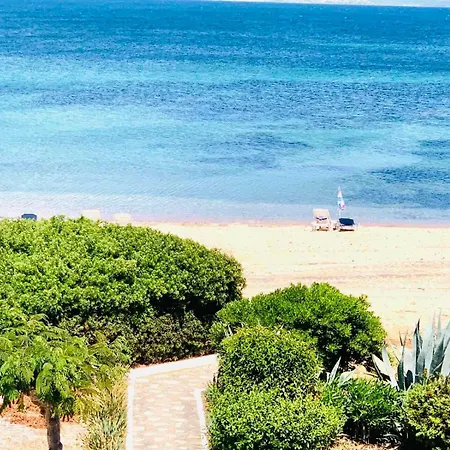 Argo * نيا بوتيدايا